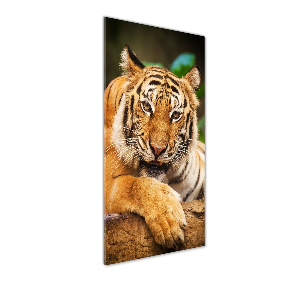 Foto obraz szkło akryl pionowy Tygrys bengalski