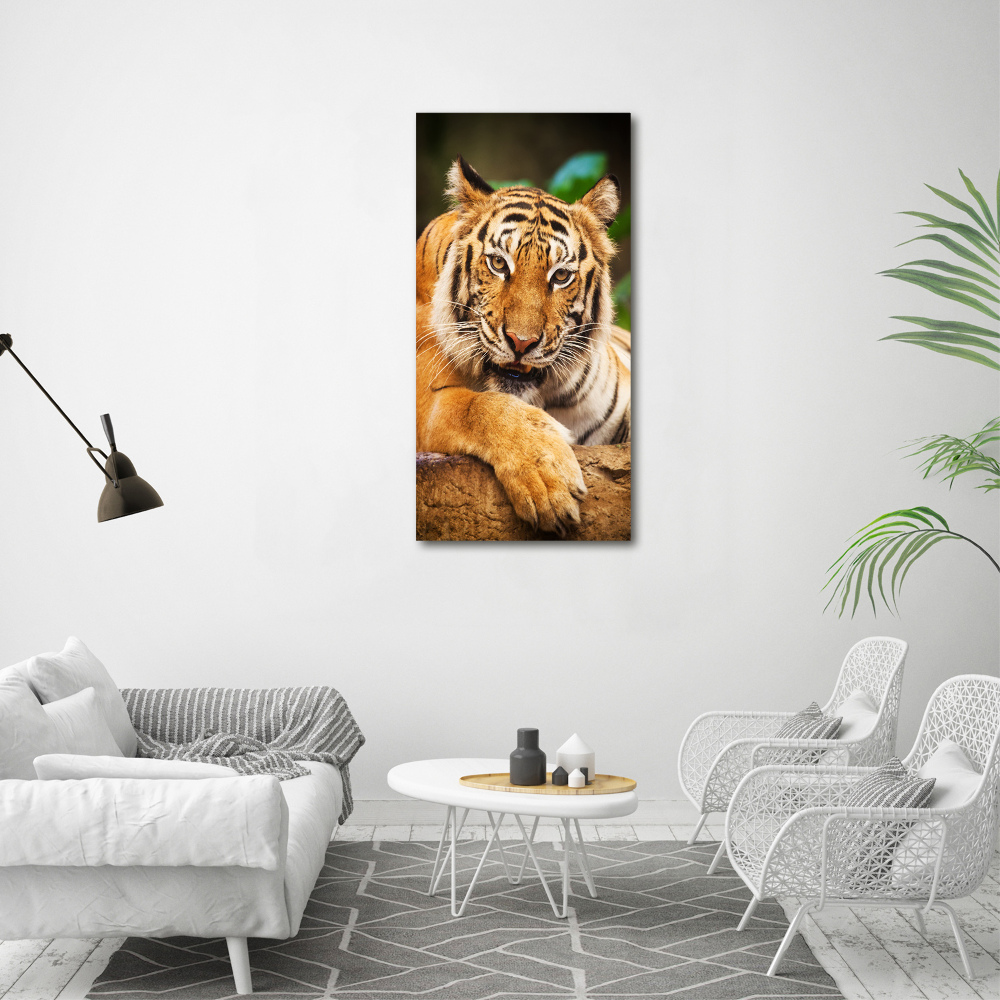 Foto obraz szkło akryl pionowy Tygrys bengalski