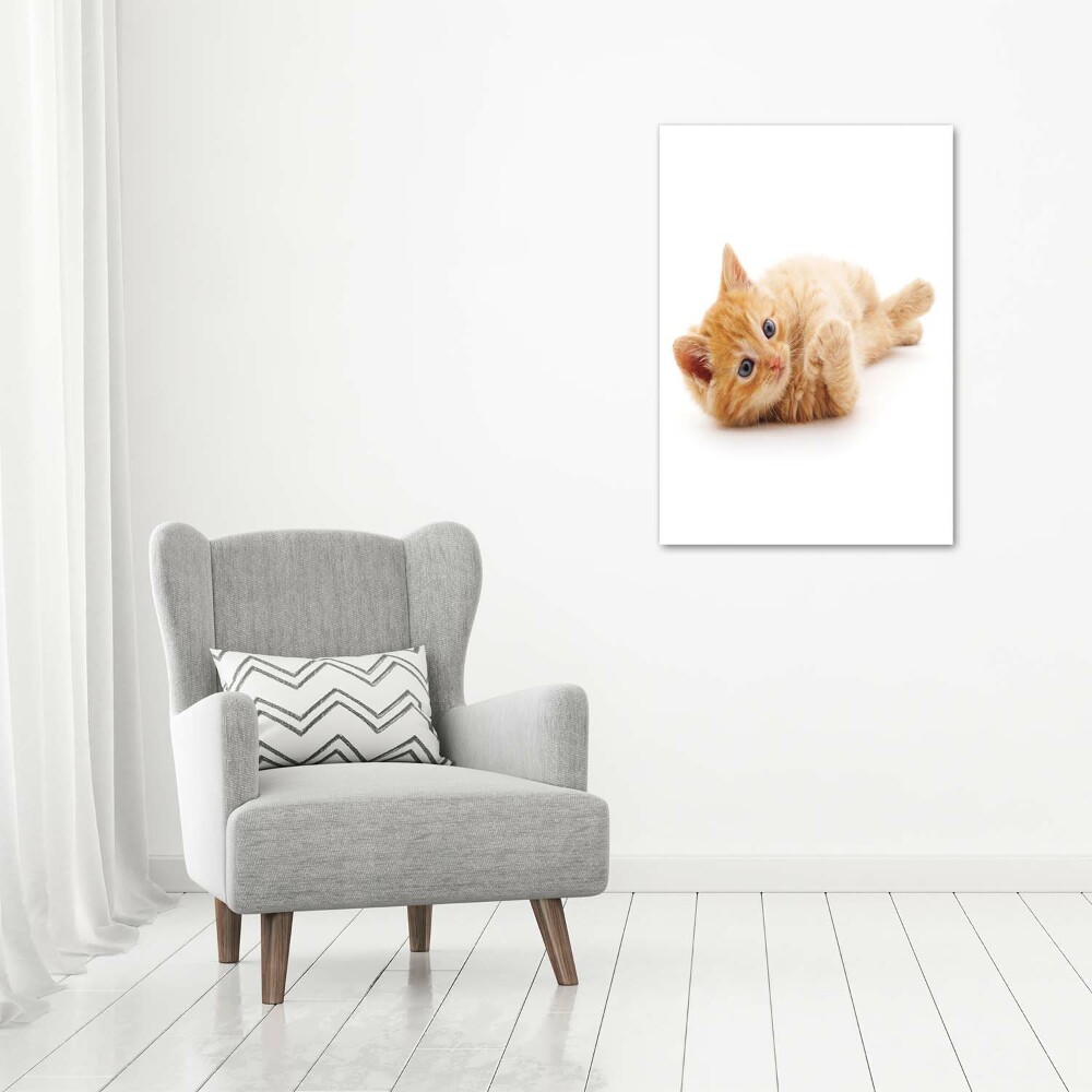 Foto obraz akryl pionowy Mały rudy kot