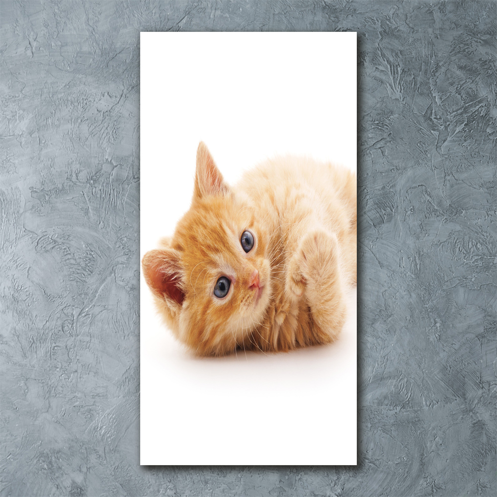 Foto obraz akryl pionowy Mały rudy kot