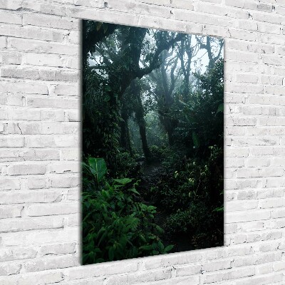 Obraz zdjęcie szkło akryl pionowy Las deszczowy