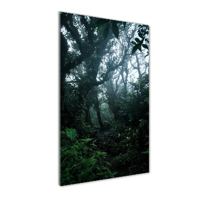 Obraz zdjęcie szkło akryl pionowy Las deszczowy