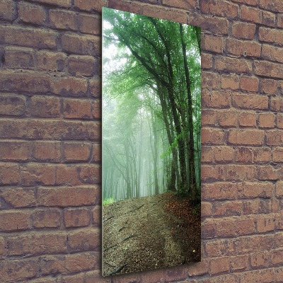 Obraz zdjęcie szkło akryl pionowy Mgła w lesie