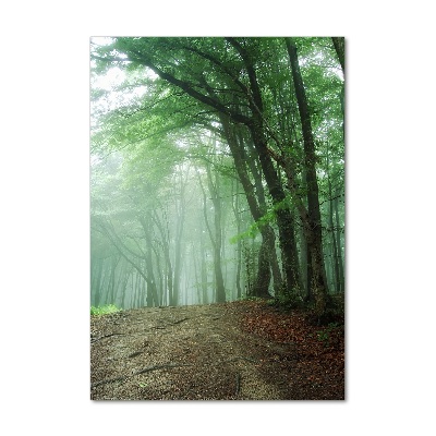 Obraz zdjęcie szkło akryl pionowy Mgła w lesie