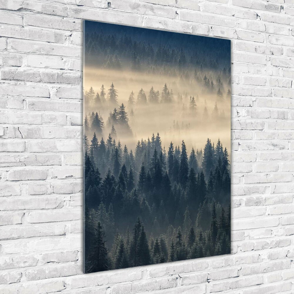 Obraz zdjęcie szkło akryl pionowy Mgła nad lasem