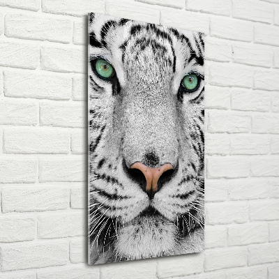 Foto obraz na scianę akrylowy pionowy Biały tygrys