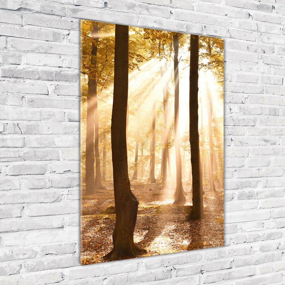 Foto obraz szkło akryl pionowy Las jesienią