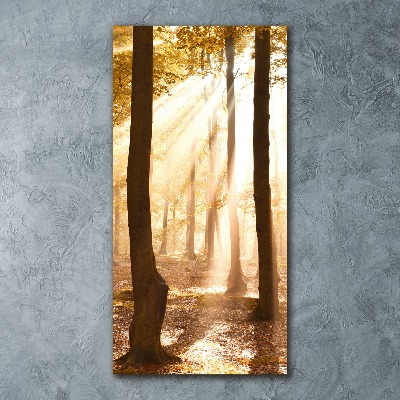 Foto obraz szkło akryl pionowy Las jesienią