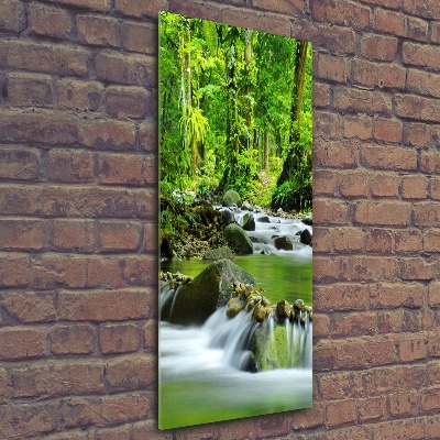 Obraz zdjęcie szkło akryl pionowy Potok górski