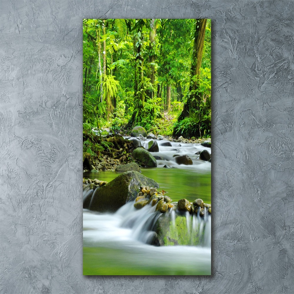 Obraz zdjęcie szkło akryl pionowy Potok górski