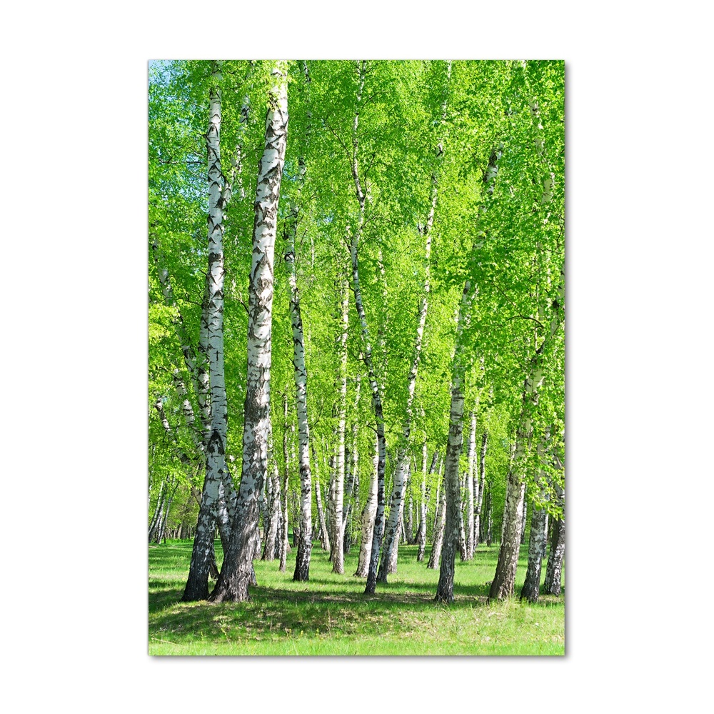 Obraz zdjęcie szkło akryl pionowy Las brzozowy