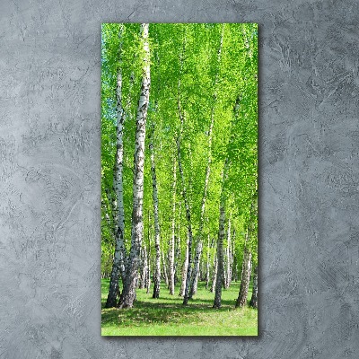 Obraz zdjęcie szkło akryl pionowy Las brzozowy