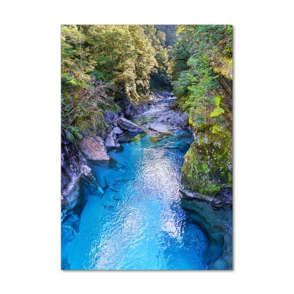 Foto obraz szkło akryl pionowy Rzeka w lesie