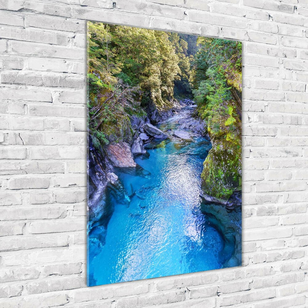 Foto obraz szkło akryl pionowy Rzeka w lesie