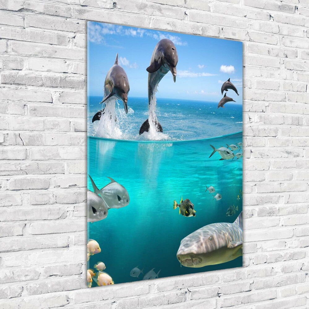 Foto obraz szkło akryl pionowy Podwodny świat