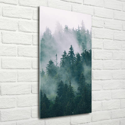 Obraz zdjęcie szkło akryl pionowy Mgła nad lasem