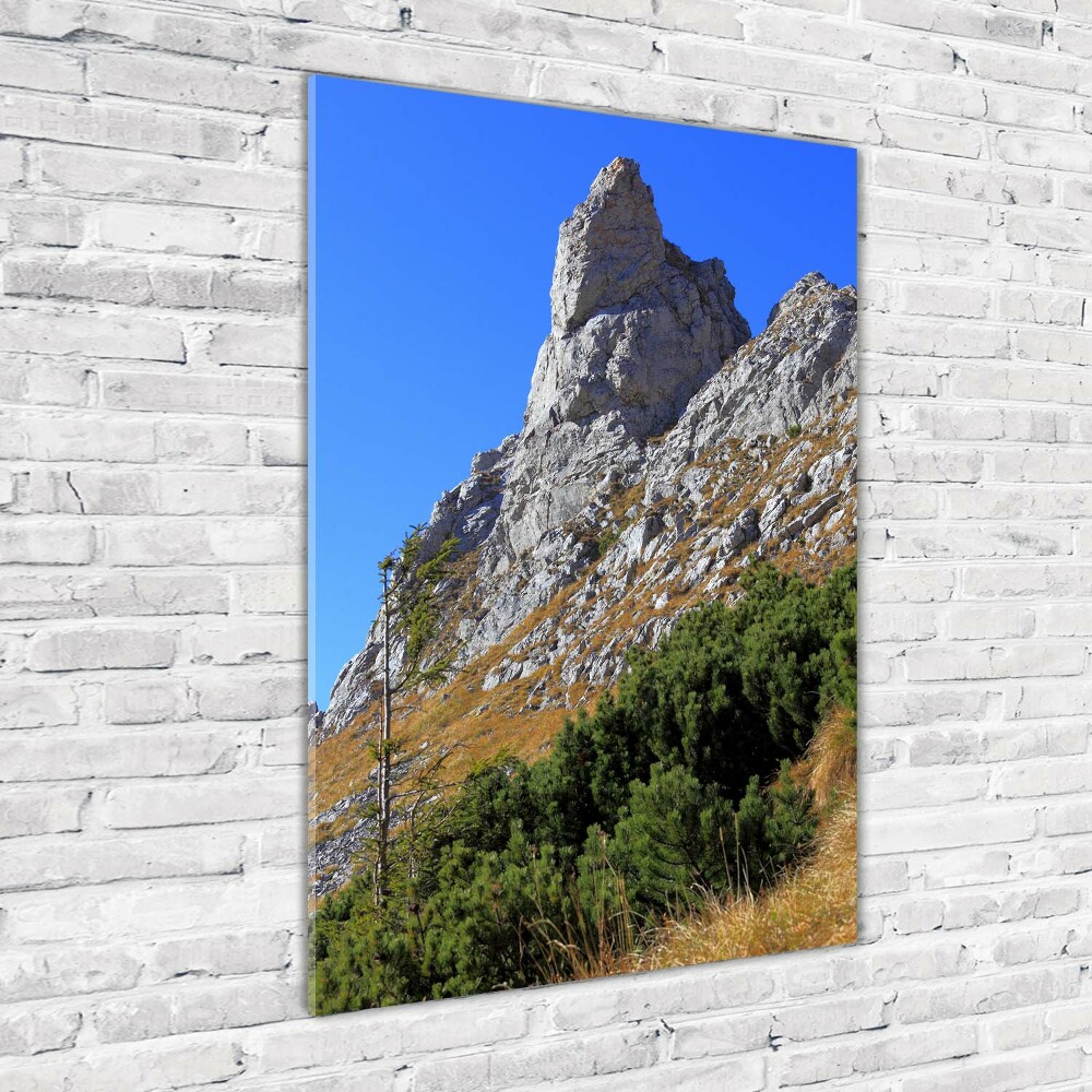 Obraz zdjęcie szkło akryl pionowy mały Giewont Tatry