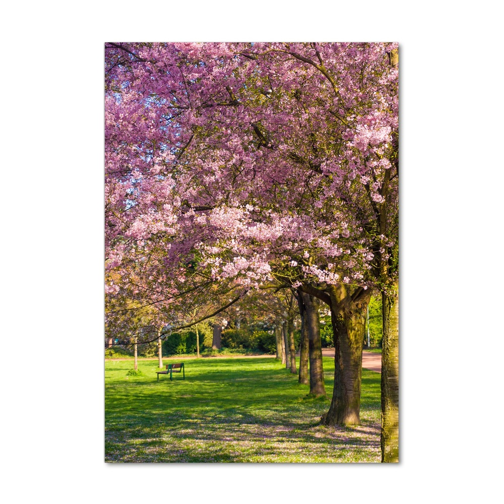 Obraz zdjęcie szkło akryl pionowy Drzewa wiśni
