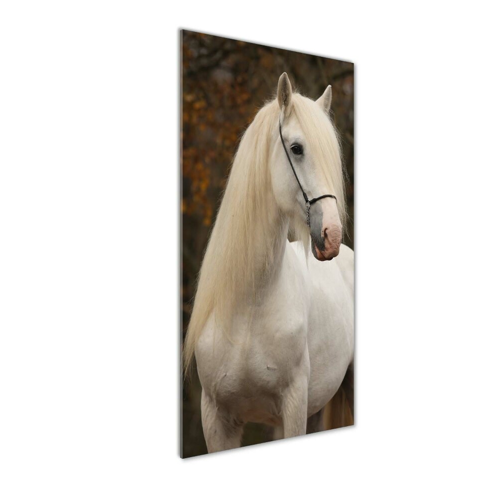 Foto obraz akryl pionowy Biały koń