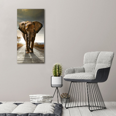 Foto obraz szkło akryl pionowy Spacerujący słoń