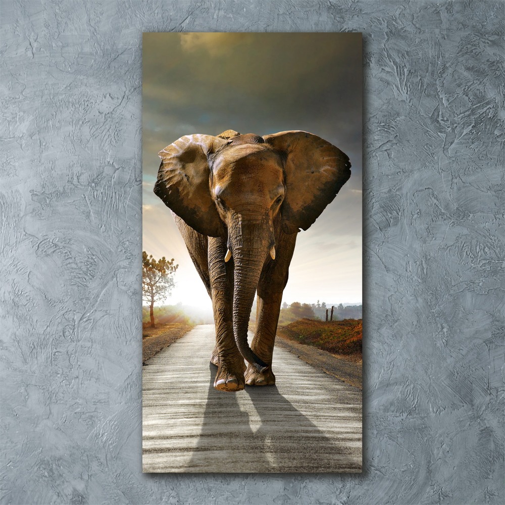 Foto obraz szkło akryl pionowy Spacerujący słoń