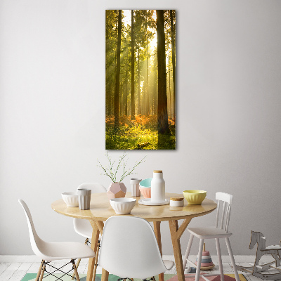 Obraz zdjęcie szkło akryl pionowy Piękny las