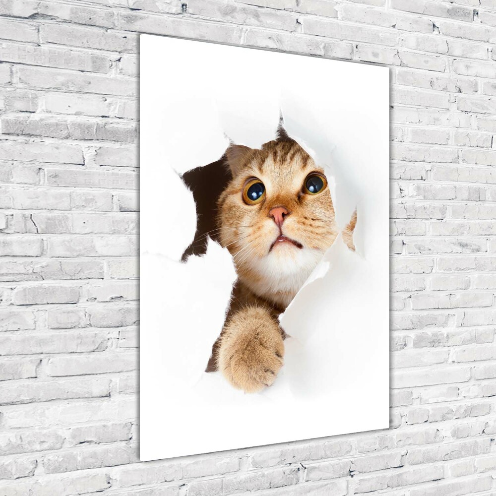 Foto obraz akryl pionowy Kot