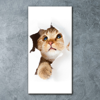 Foto obraz akryl pionowy Kot