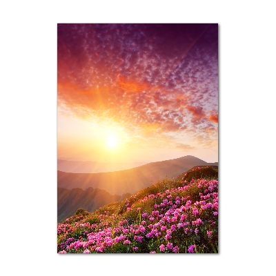 Foto obraz szkło akryl pionowy Wiosna w górach