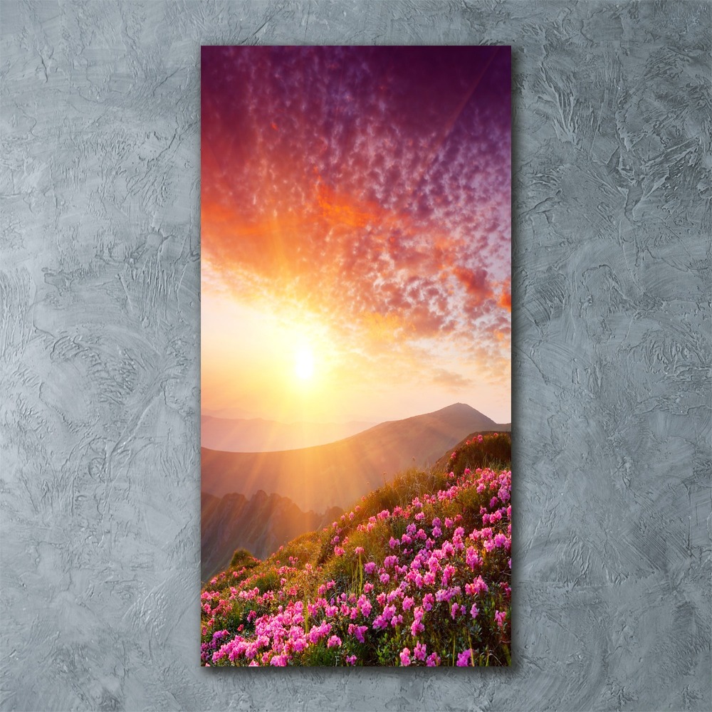 Foto obraz szkło akryl pionowy Wiosna w górach