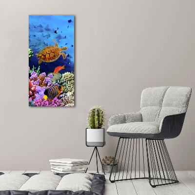 Foto obraz szkło akryl pionowy Rafa koralowa