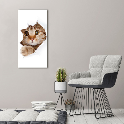 Foto obraz na ścianę akryl pionowy Kot
