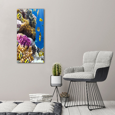 Foto obraz na ścianę akryl pionowy Rafa koralowa