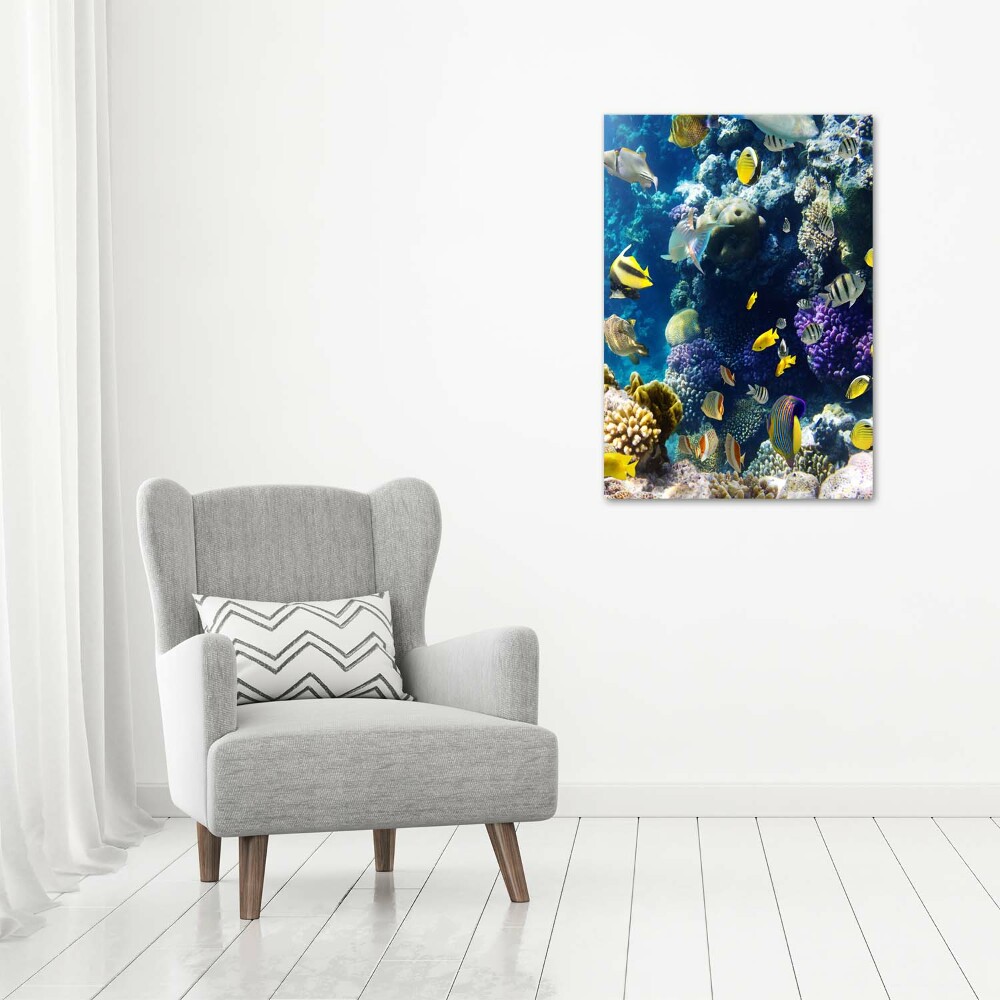 Foto obraz na ścianę akryl pionowy Rafa koralowa