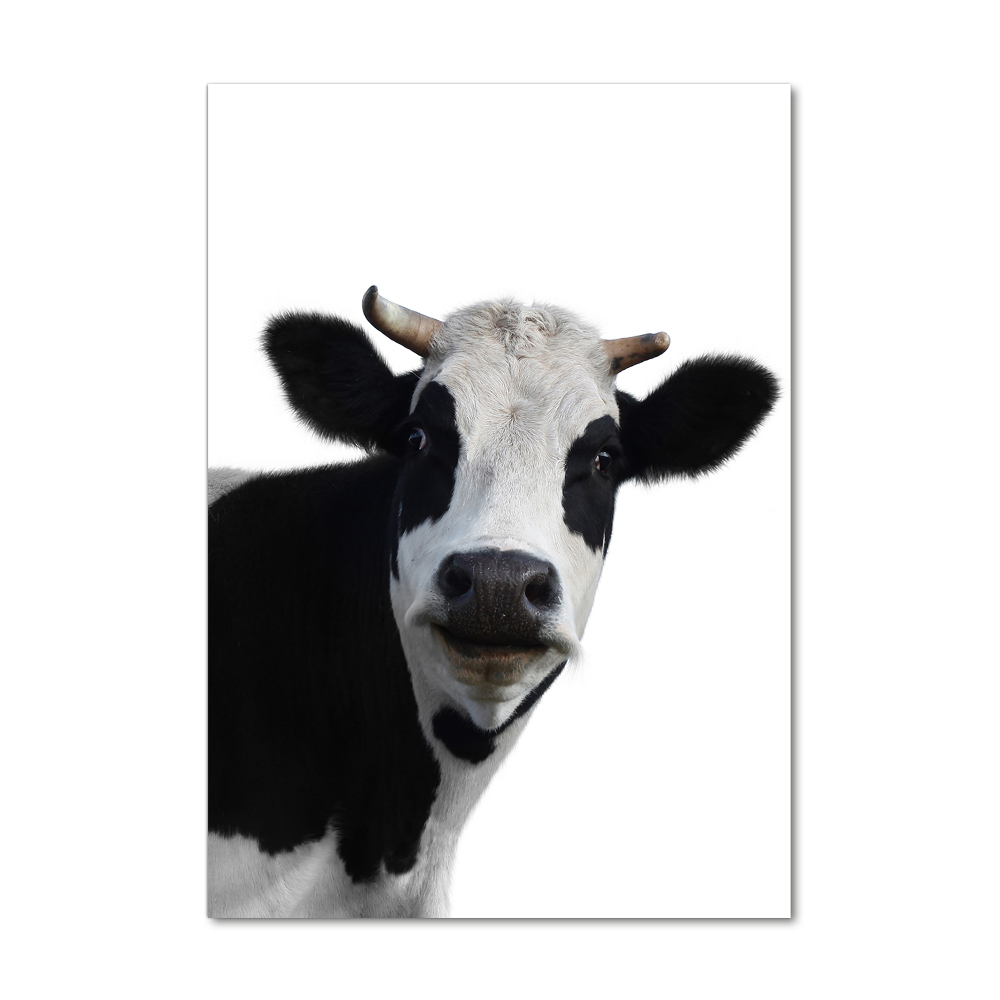 Foto obraz szkło akryl pionowy Łaciata krowa
