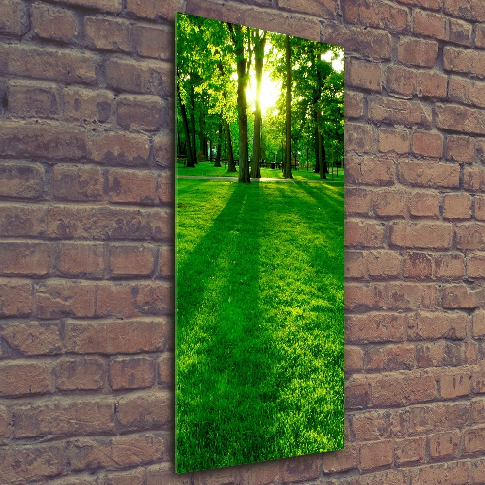Obraz zdjęcie na ścianę akryl pionowy Słońce w parku