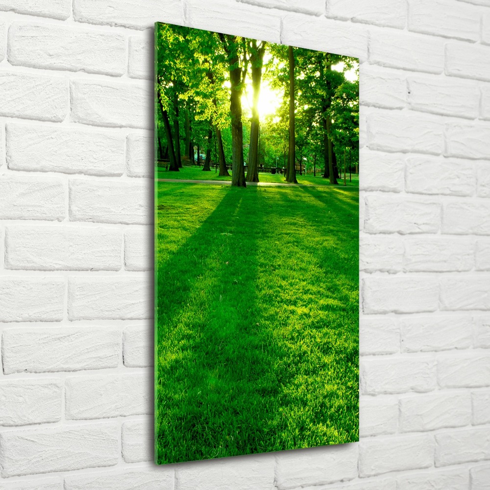 Obraz zdjęcie na ścianę akryl pionowy Słońce w parku