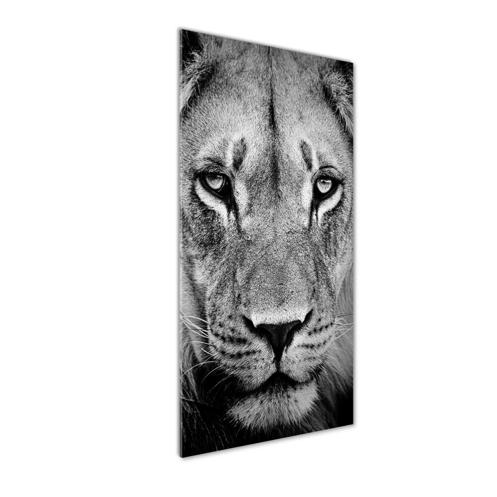 Foto obraz na scianę akrylowy pionowy Portret lwa