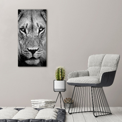 Foto obraz na scianę akrylowy pionowy Portret lwa