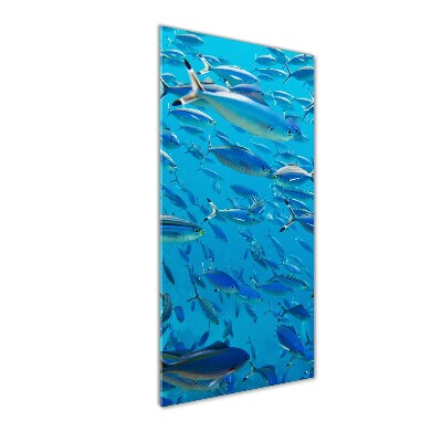 Foto obraz szkło akryl pionowy Koralowe ryby