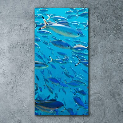 Foto obraz szkło akryl pionowy Koralowe ryby