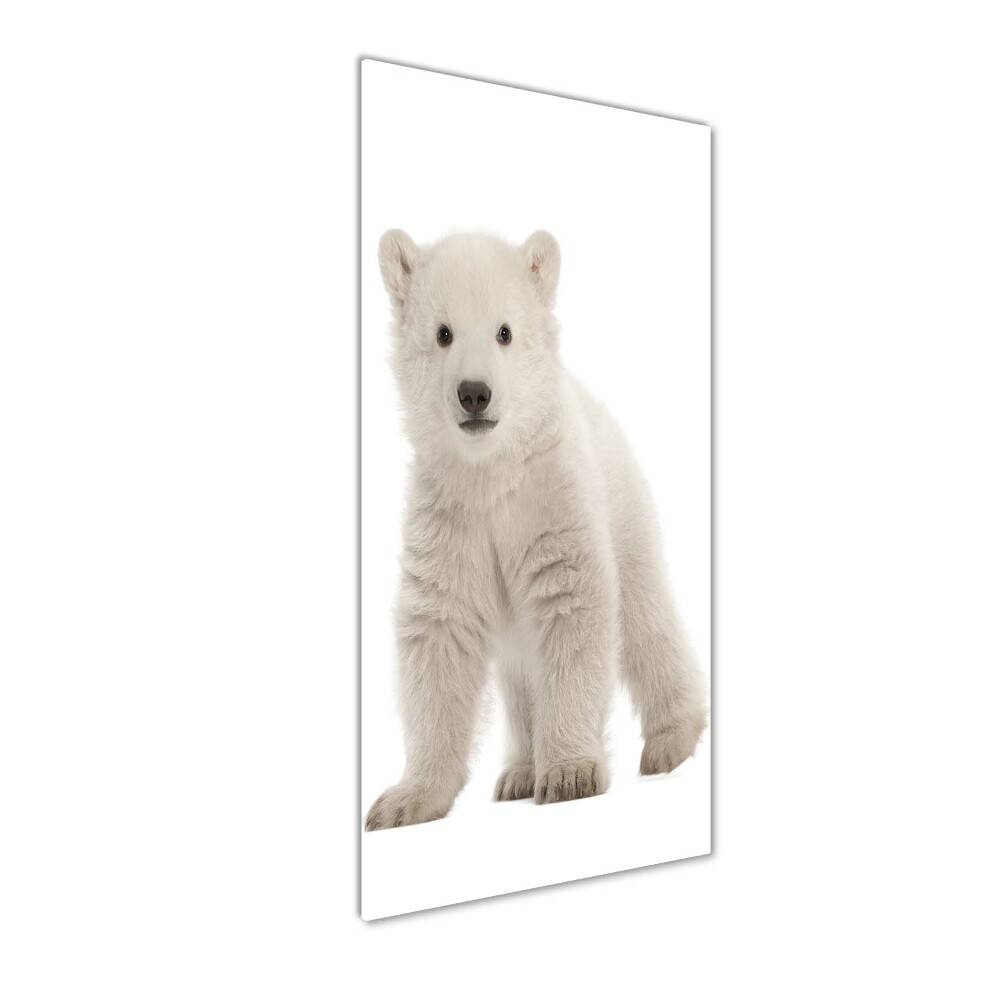 Foto obraz szkło akryl pionowy Miś polarny