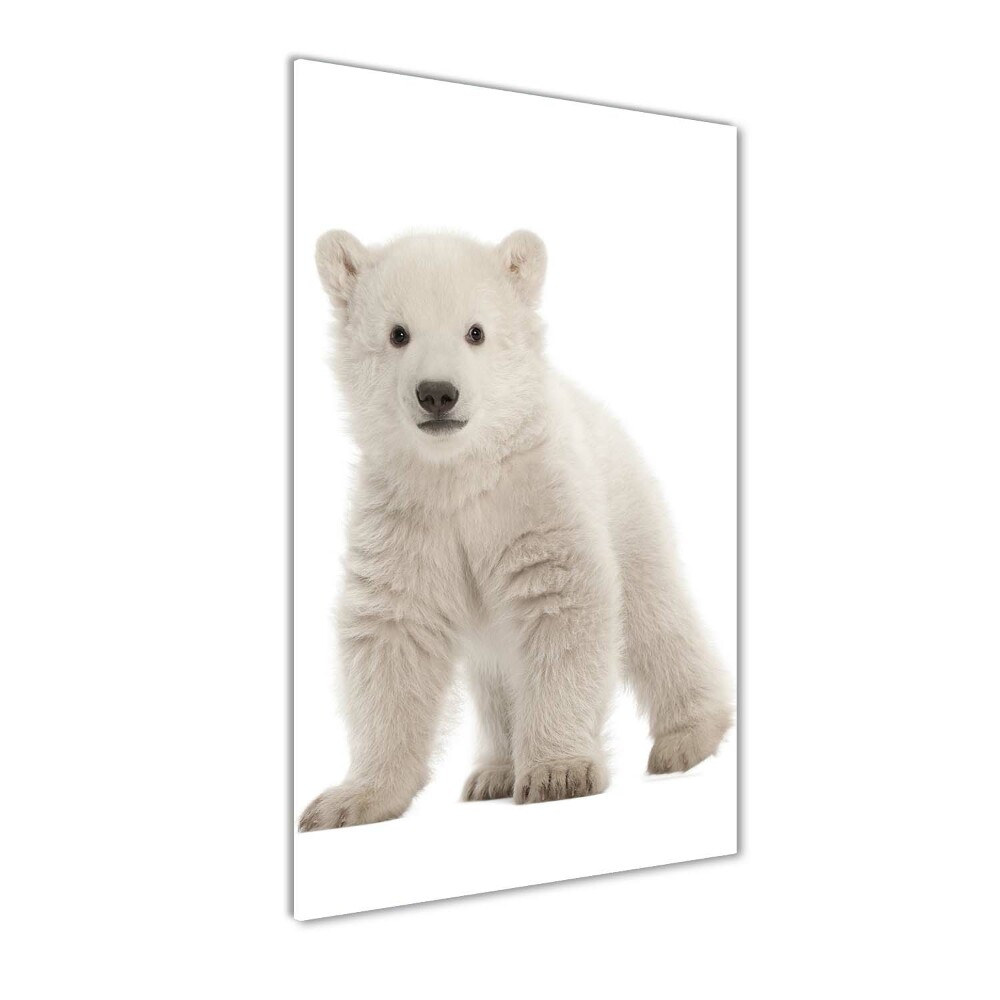 Foto obraz szkło akryl pionowy Miś polarny