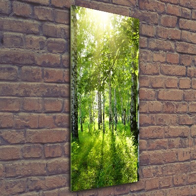Obraz zdjęcie akryl pionowy Las brzozowy
