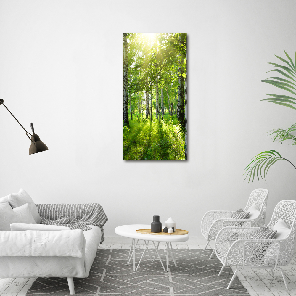 Obraz zdjęcie akryl pionowy Las brzozowy