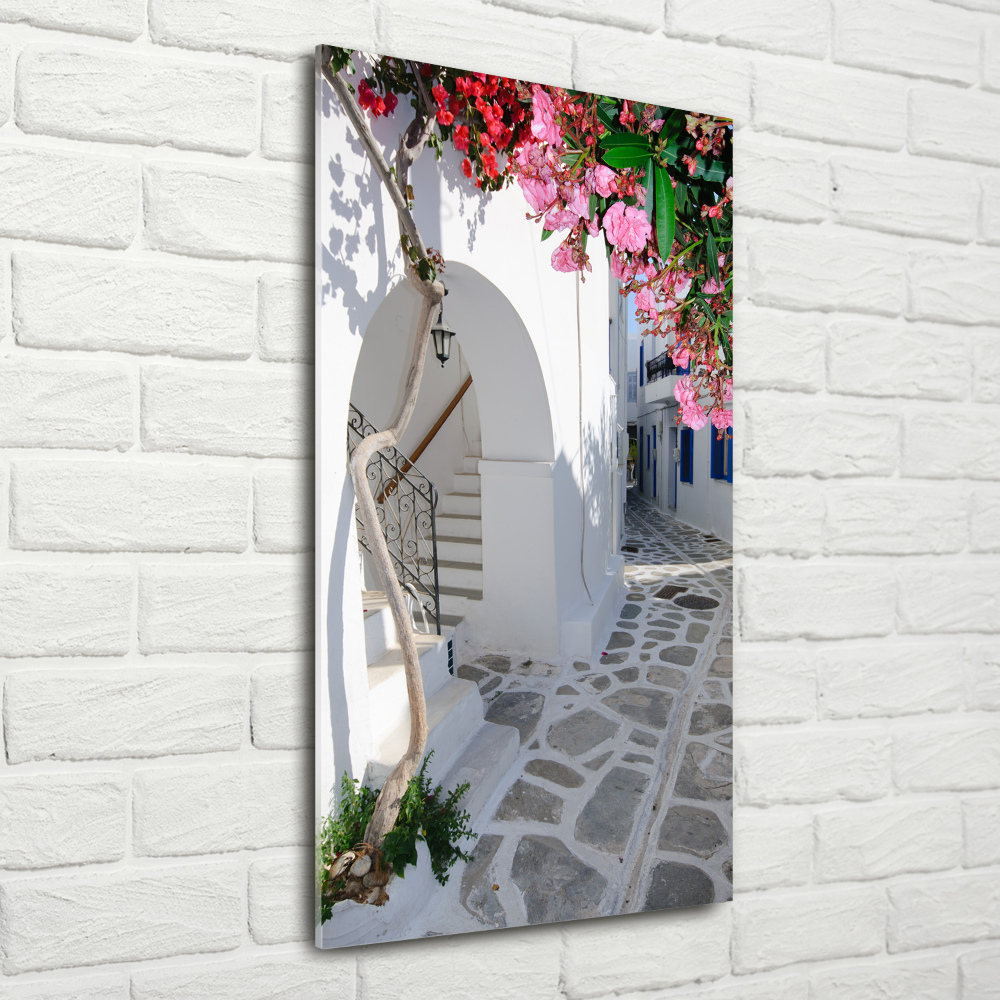 Foto obraz szkło akryl pionowy Grecka wioska