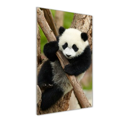 Foto obraz akryl pionowy Panda na drzewie