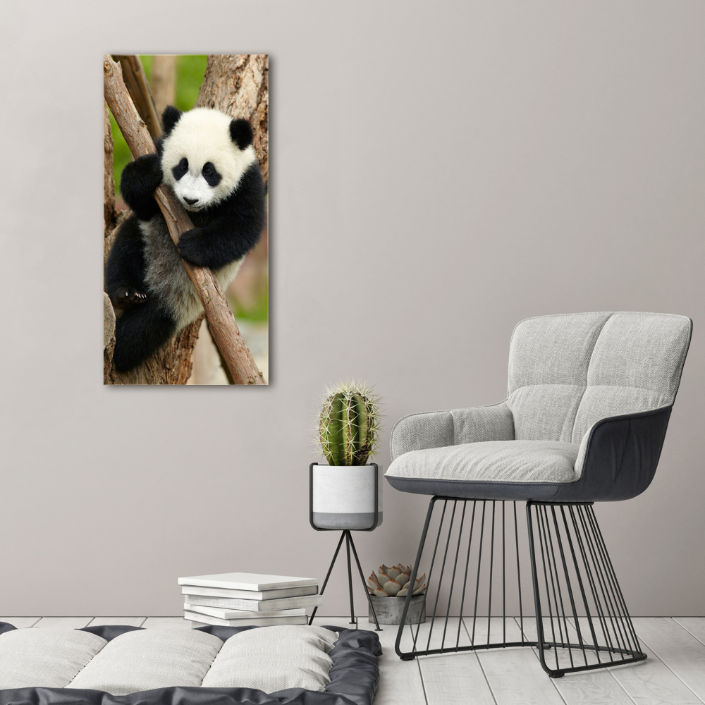 Foto obraz akryl pionowy Panda na drzewie
