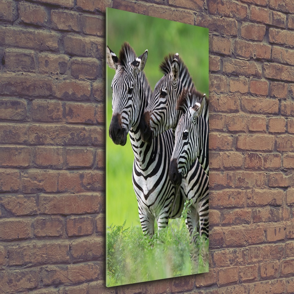 Foto obraz szkło akryl pionowy Trzy zebry