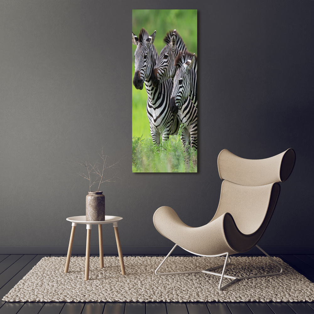 Foto obraz szkło akryl pionowy Trzy zebry